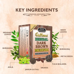 QuikHenna Herbal Mehndi- 65 Gm- Dark Brown