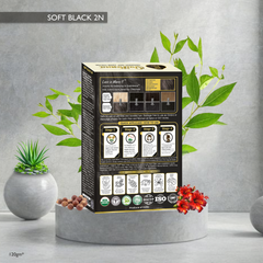QuikHenna Organic Gel Hair Color 120 Gm - 2N Soft Black