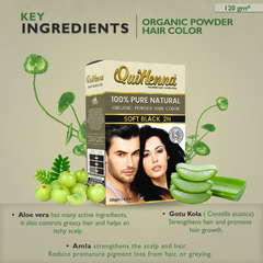 Quikhenna 100% Powder Organic Hair Color- 120 Gm- 2N Soft Black