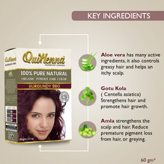Quikhenna 100% Powder Organic Hair Color 60g - 9RG Burgundy