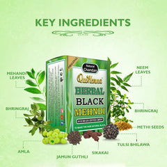 QuikHenna Herbal Mehndi- 65 Gm- Black