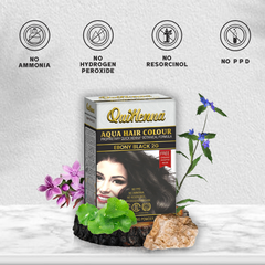QuikHenna AQUA Powder Hair Color- 110gm- 2G Ebony Black
