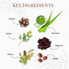 QH+ QuikHenna CLINICA Organic Gel Innovative Derma Hair Color 165gm- 3G Coffee Brown (Pack of 2)