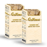 QH+ QuikHenna CLINICA Organic Gel Innovative Derma Hair Color 165gm- 6G Golden Blonde (Pack of 2)
