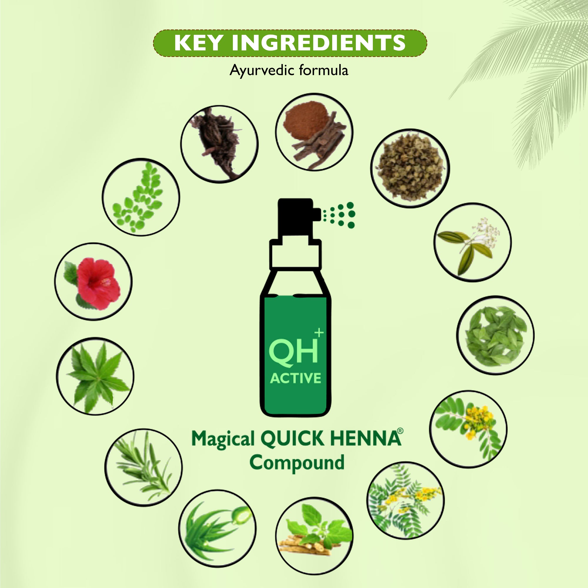QH+ Quikhenna Flora Double Use Tint Organic Gel Hair Color –  Blonde 7G , Ammonia-Free, Long-Lasting, Organic & Vegan, Dual Application